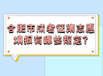 合肥巢湖市成考征集志愿填报有哪些规定