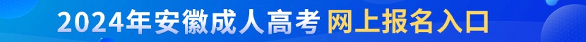 合肥成考网上报名入口