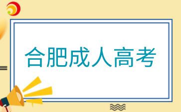 2024年合肥成人高考英语主要考哪些题型